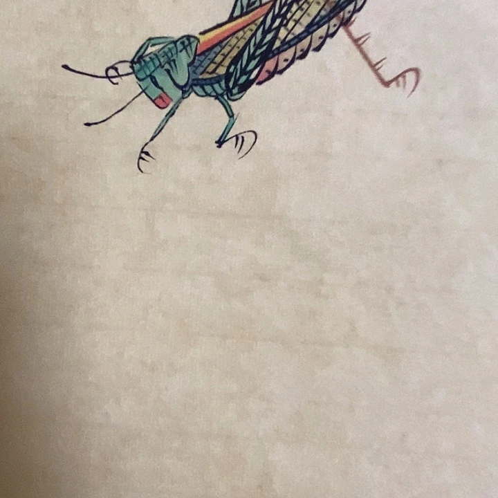 虞***画闪购商品闪购商品