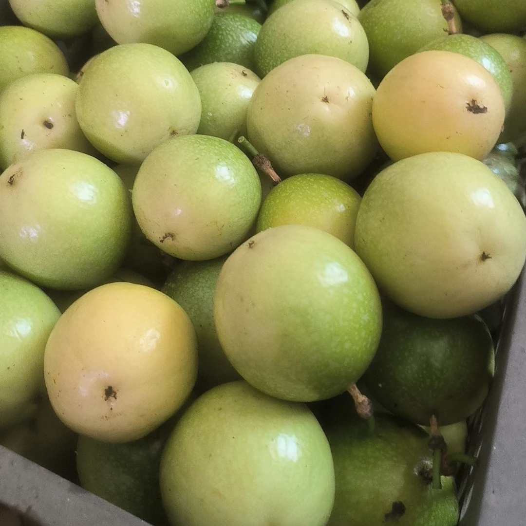 广西钦蜜九号百香果现摘现发香甜多汁富含维生素