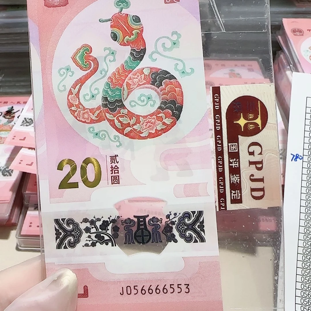 纸056666553。。满号。。。。。