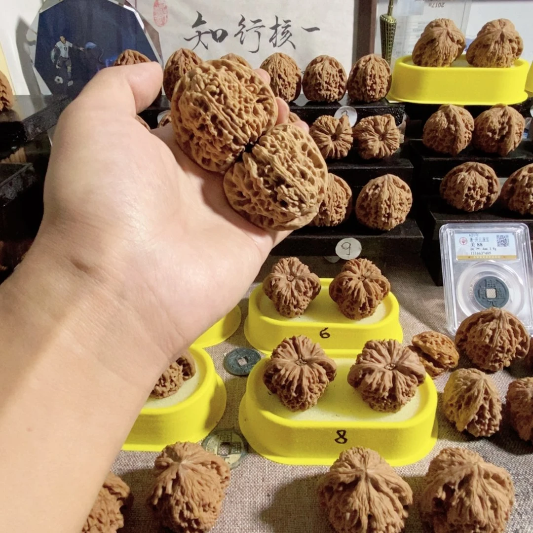 木质类48尺59克黄皮