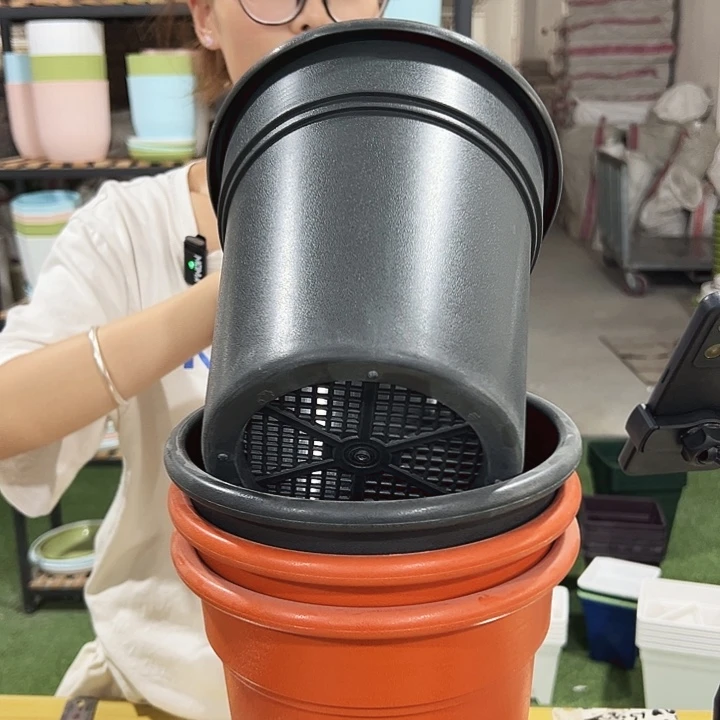 翻边口21高22混色无托4只