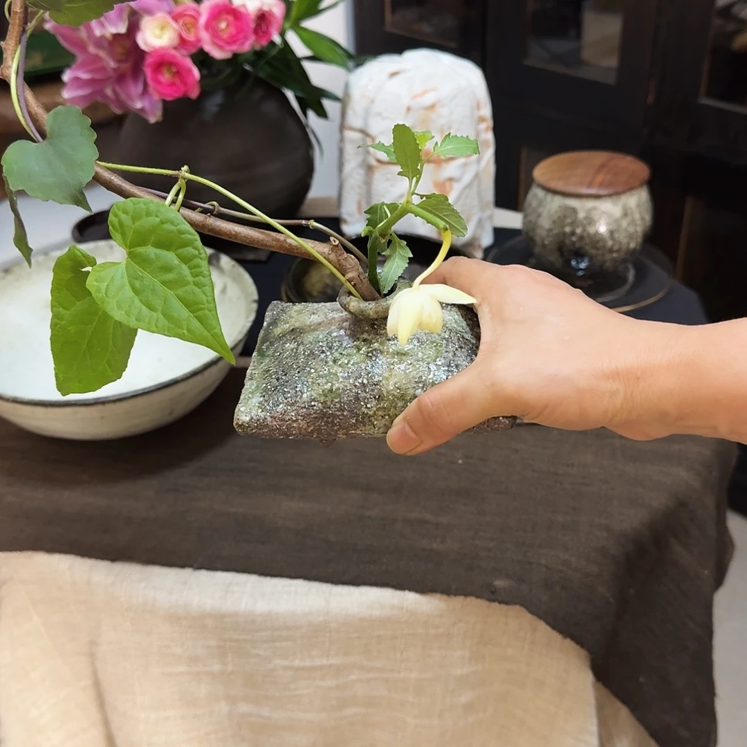 日本高端陶瓷器皿