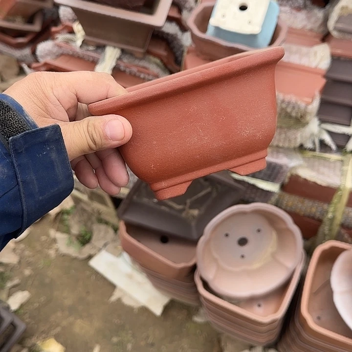 在这片美丽之乡上海举办画展是非常成功且富有