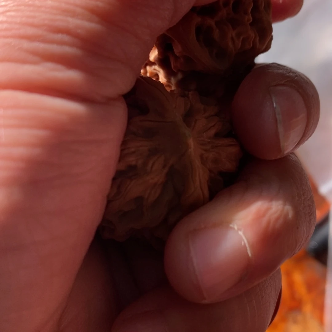 秦岭南侧和秦岭北缘