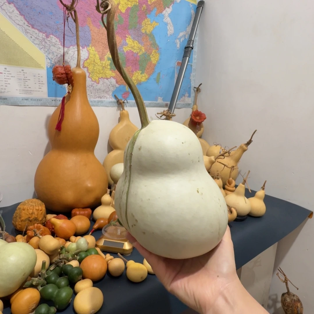 录音机我考虑我军路