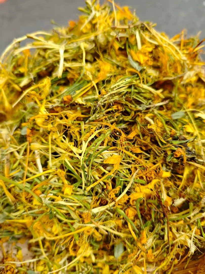 农家自晒 五彩金银花