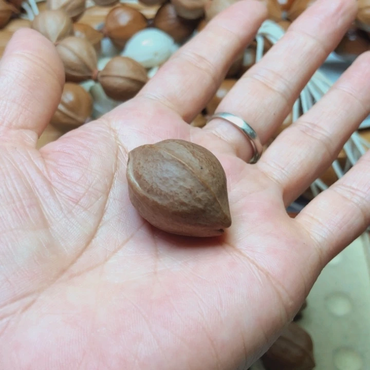 橄榄核手串用****3梅林铁20 X30