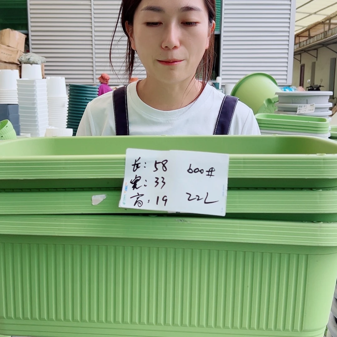 菜盆600#果绿3个无托