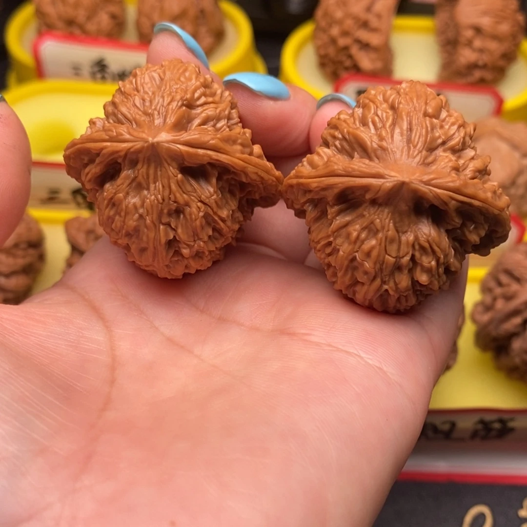平***凡菩提籽类三角疆疆