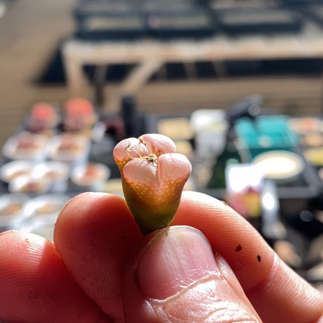 13163一个一个一个