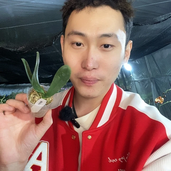 无花朵优酪蜜柑1.7