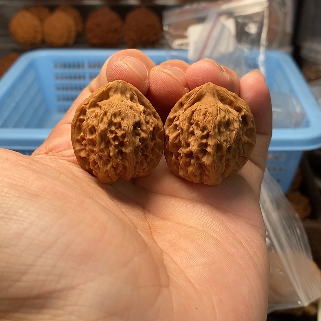 1文玩核桃珊瑚纹30-461