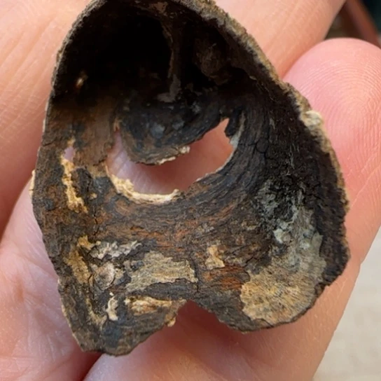 沉香摆件海南野包壳沉水0.7克