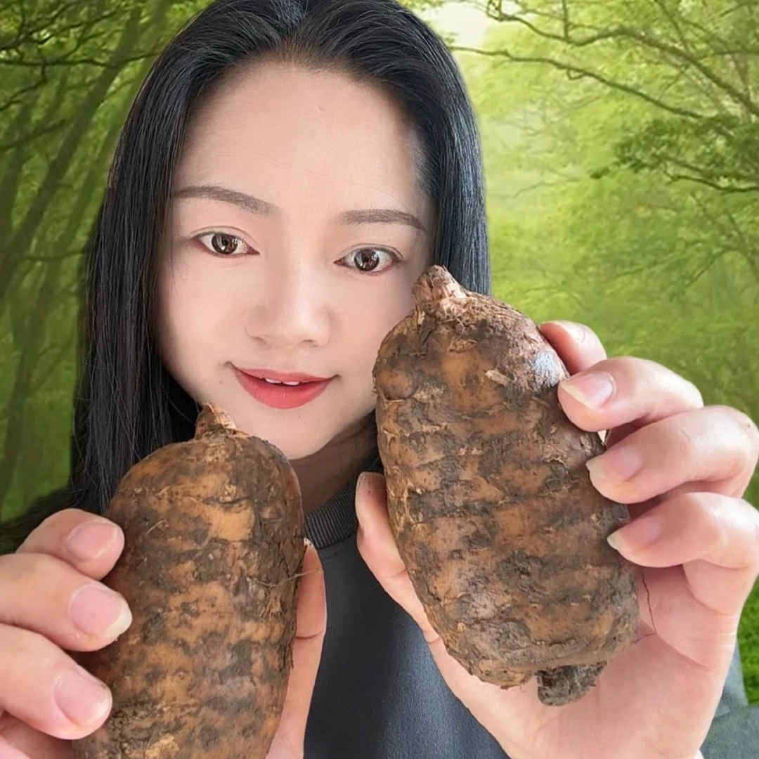 云南昭通小草坝新鲜乌天麻菜，带土发货，坏果包赔。