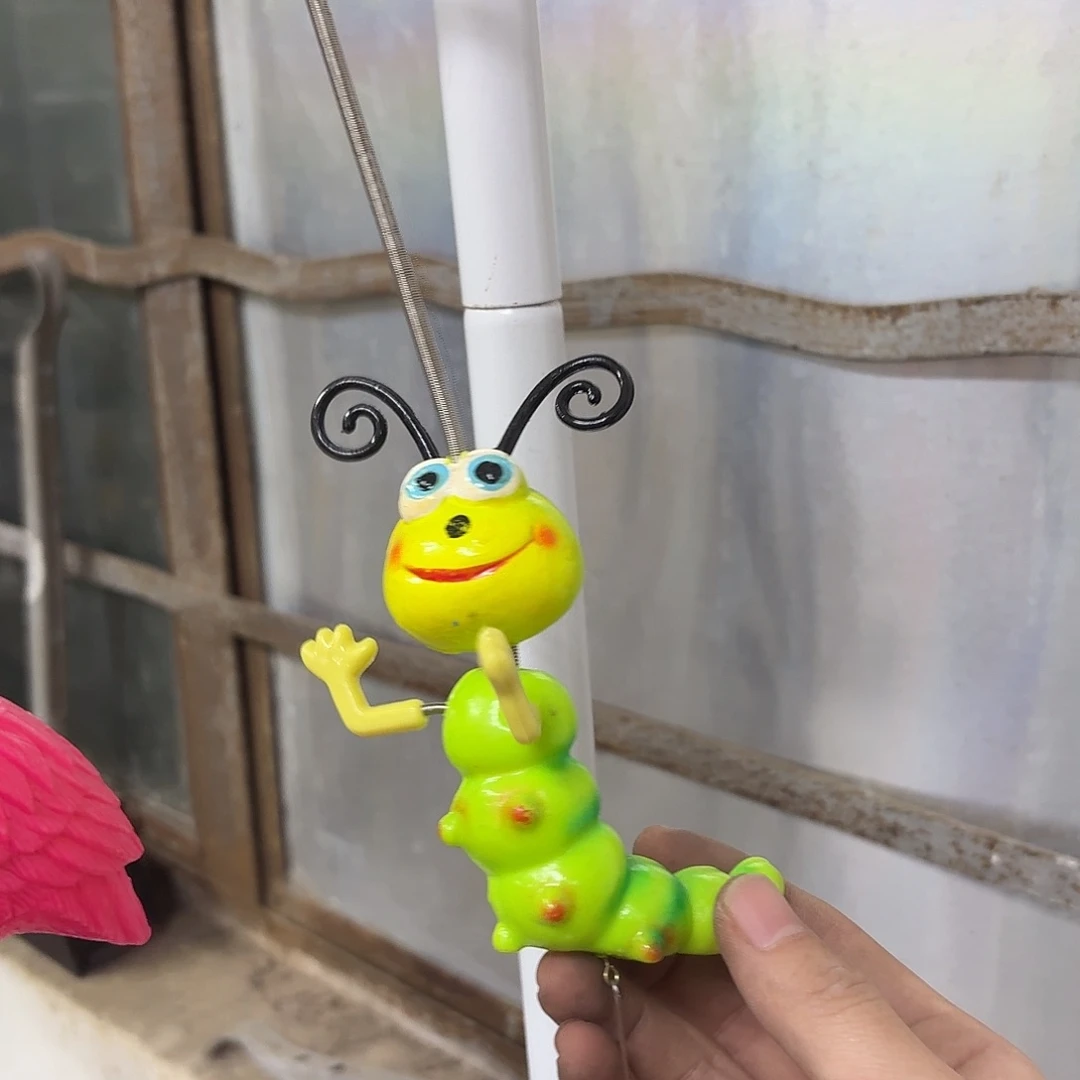 核桃木/黑胡桃（胡桃木）