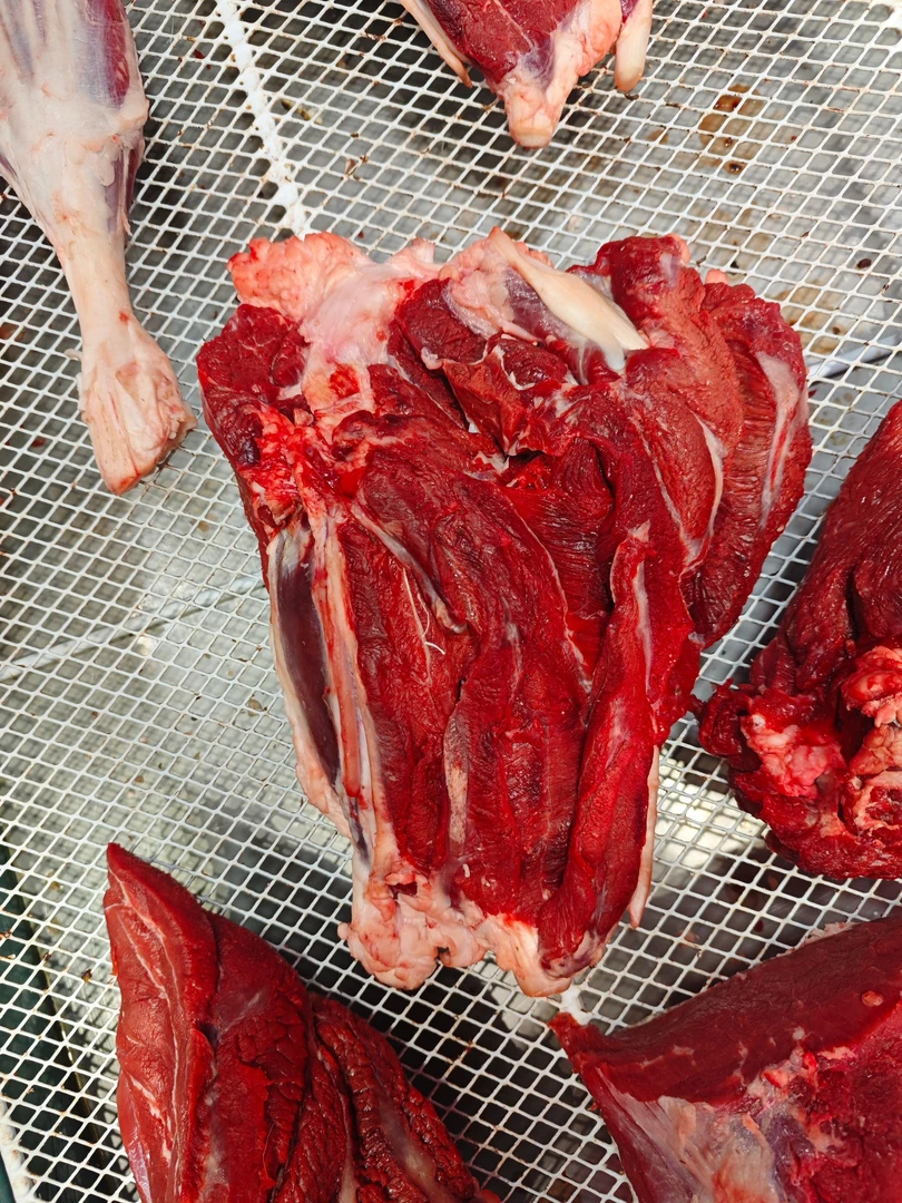 精品新鲜草饲黄牛牛后腱子