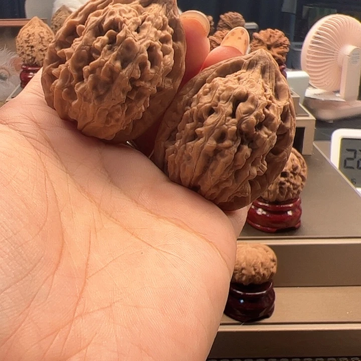 文玩核桃吊坠37 蚂蚁王 n-020