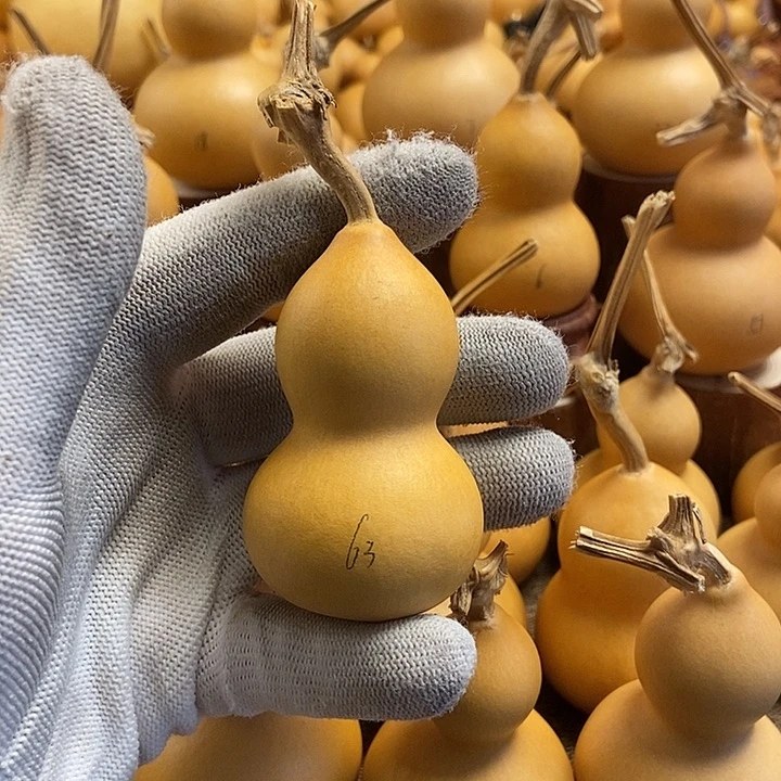 文玩葫芦 完美主义者 慎拍63