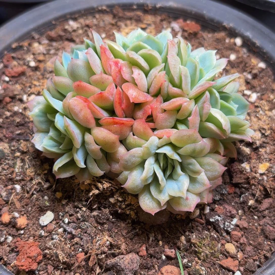 T**a哈哈哈哈哈哈哈哈哈哈哈