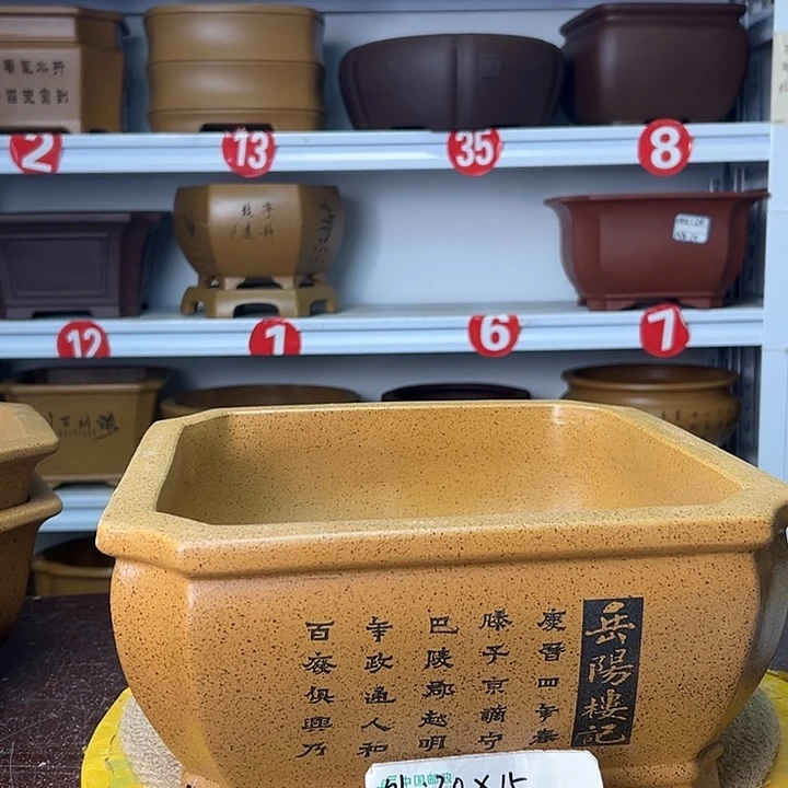 花盆紫砂蛇年大吉