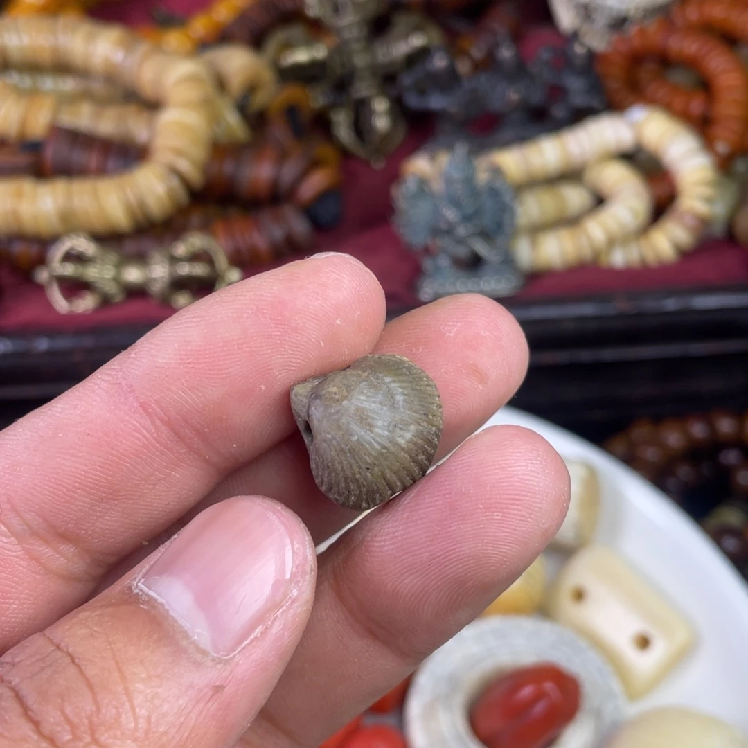 吊坠哈哈哈哈哈哈哈哈