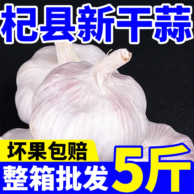 【粉丝专属】5斤杞县农家土蒜农家自种新干蒜紫白皮大蒜头可吃可种