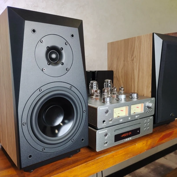 天逸C6+诺普声925胆机功放HiFi发烧音箱胆机套装