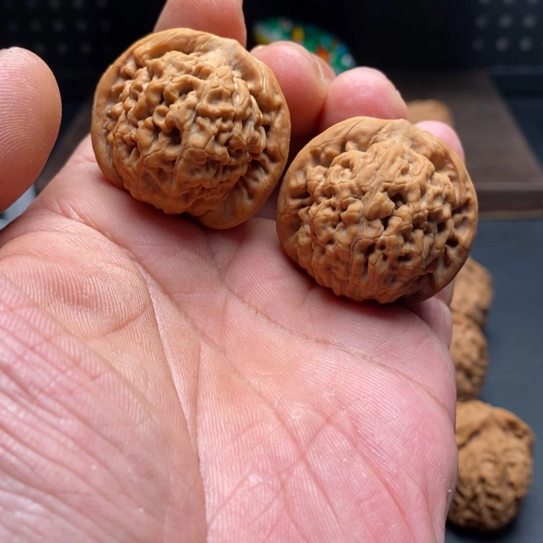 編***137全品莲花888888888888