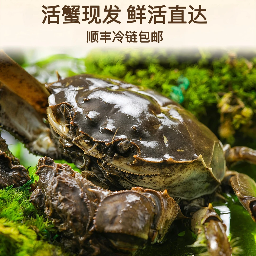 【活蟹】买六送二河蟹公蟹2.0-1.7两8只顺丰包邮海鲜