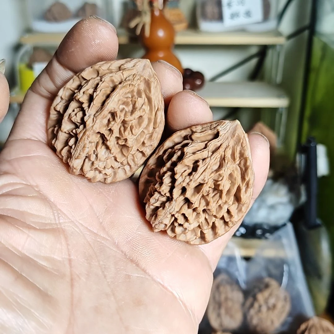 41十尺寸，秦岭野生鸡心