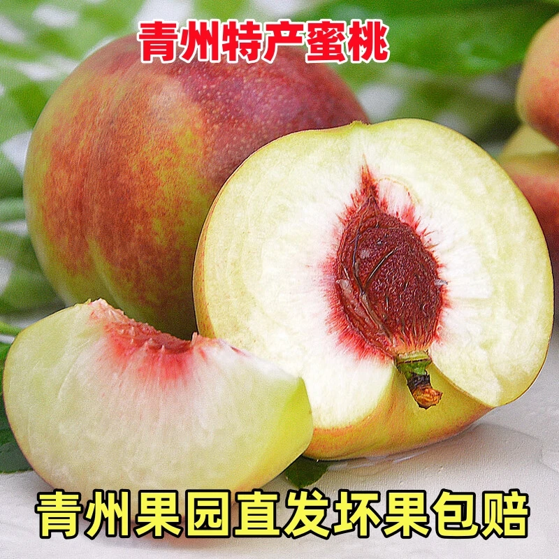 现摘青州蜜桃脆甜多汁应季新鲜水果