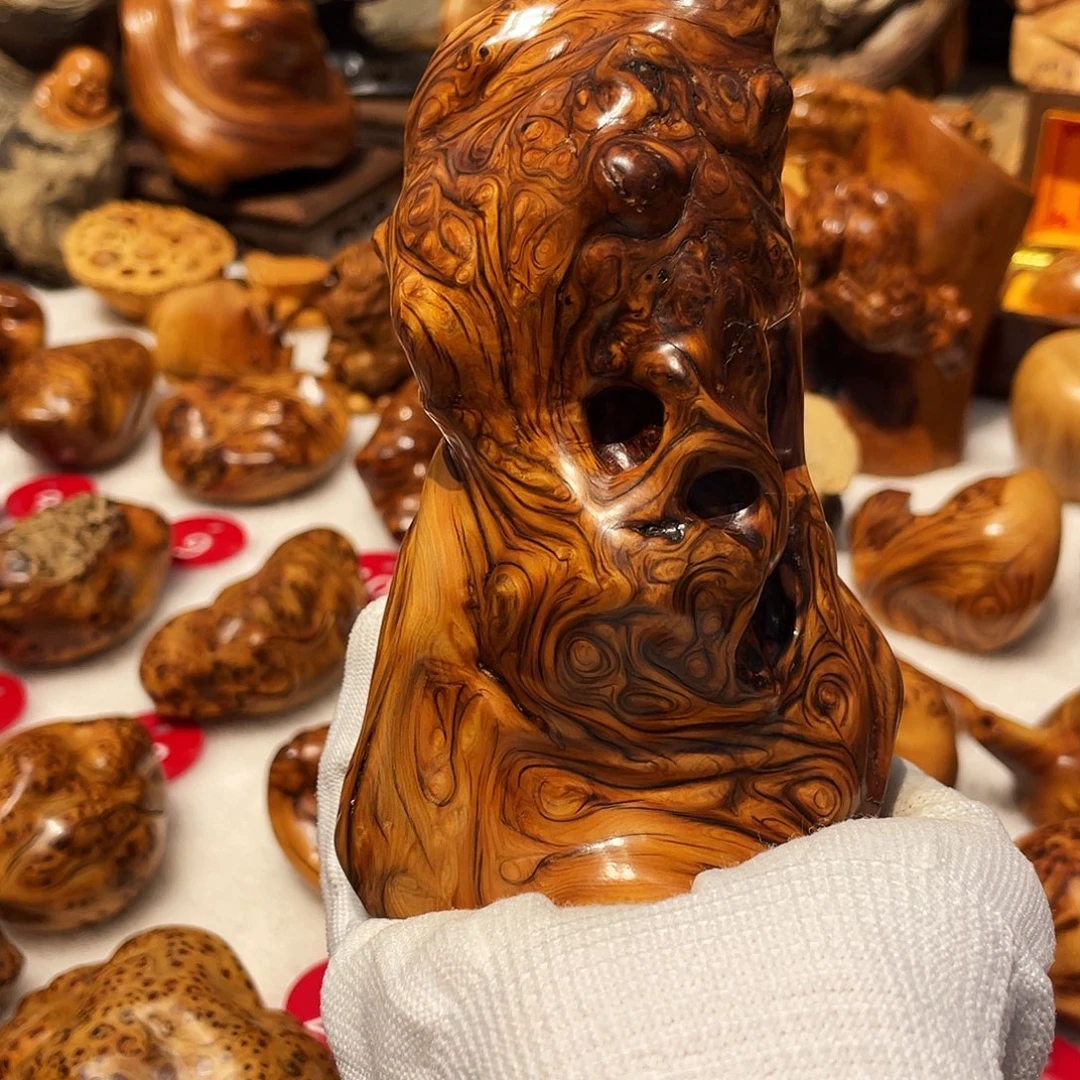 柏木（崖柏）太行崖柏