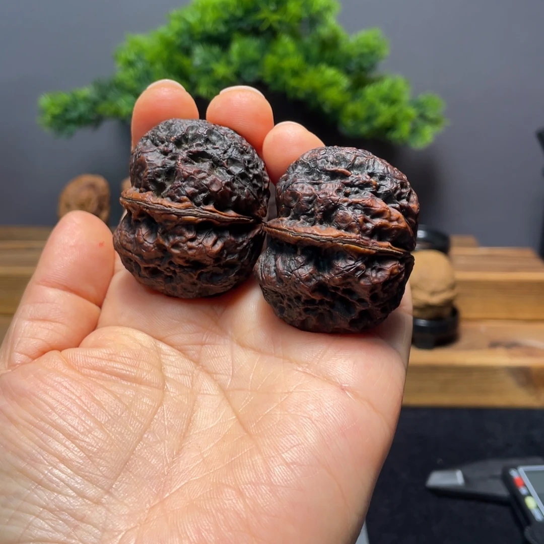 @****把件文玩核桃七彩卧龙元宝