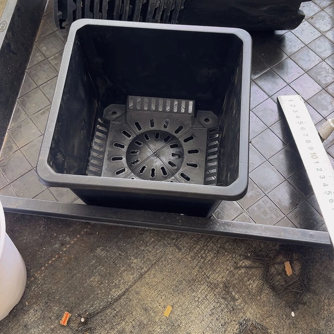 180方杯专拍20个福利