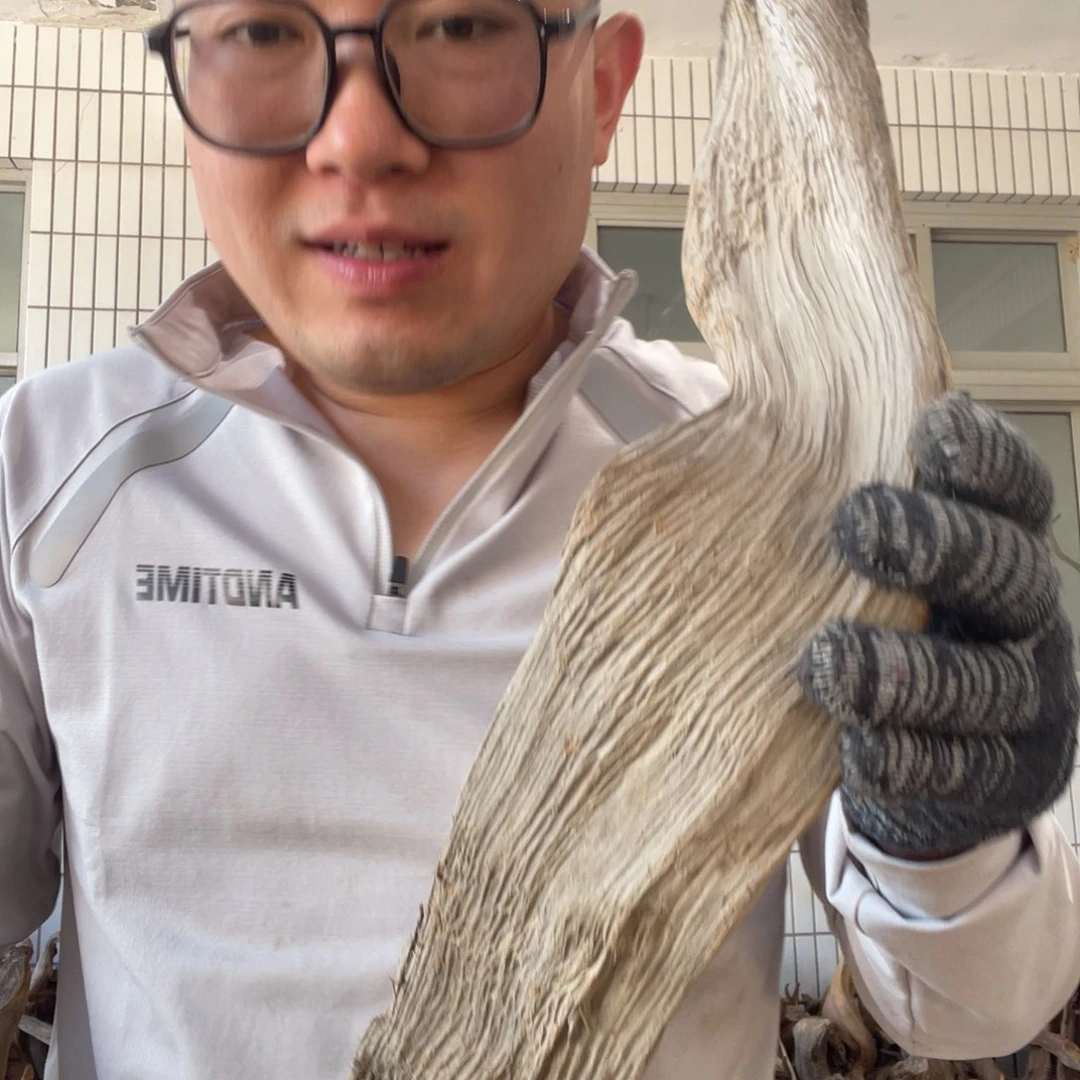 柏木专****师啦啦啦啦啦啦啦啦啦啦啦