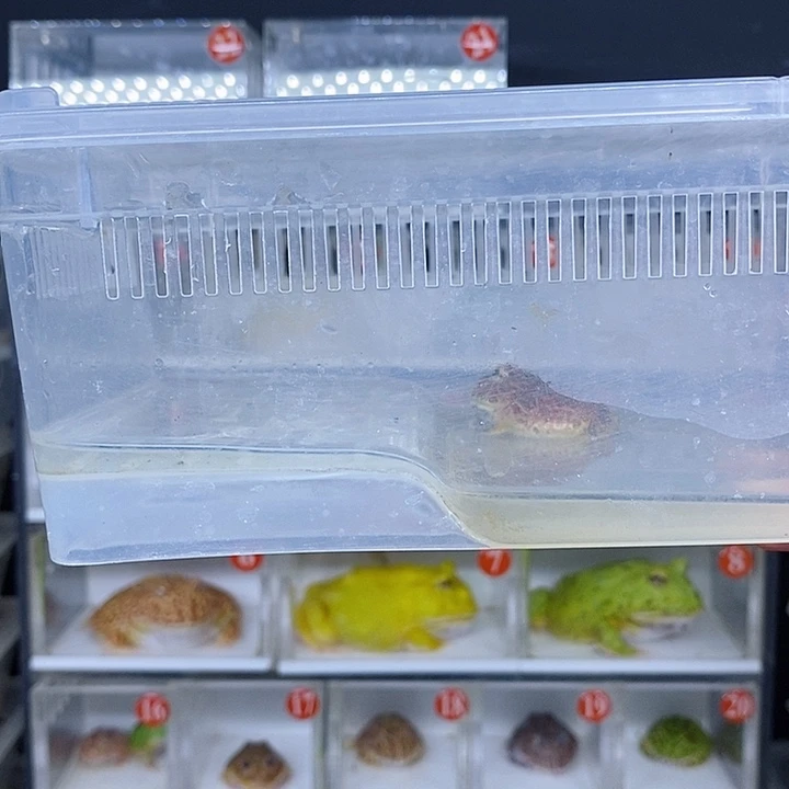 特价秒杀现货特价