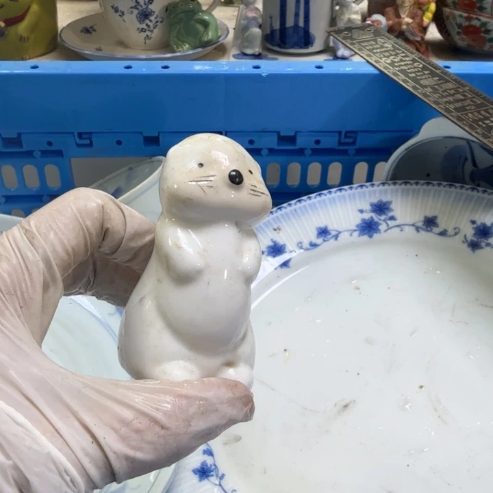 瓷片晶**世开播啦…开播啦！