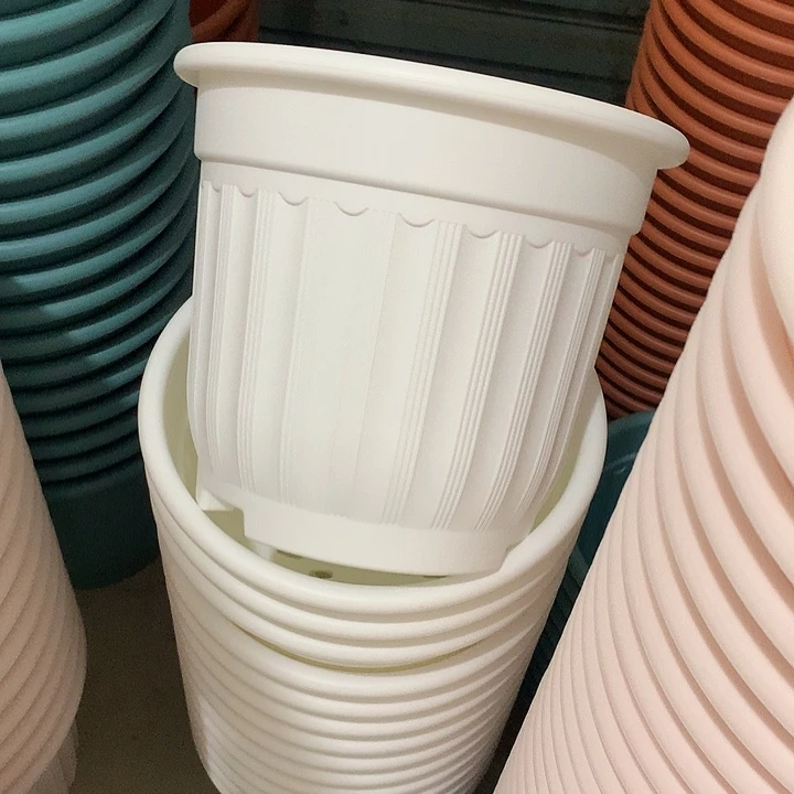 罗马口28高24白4个无托