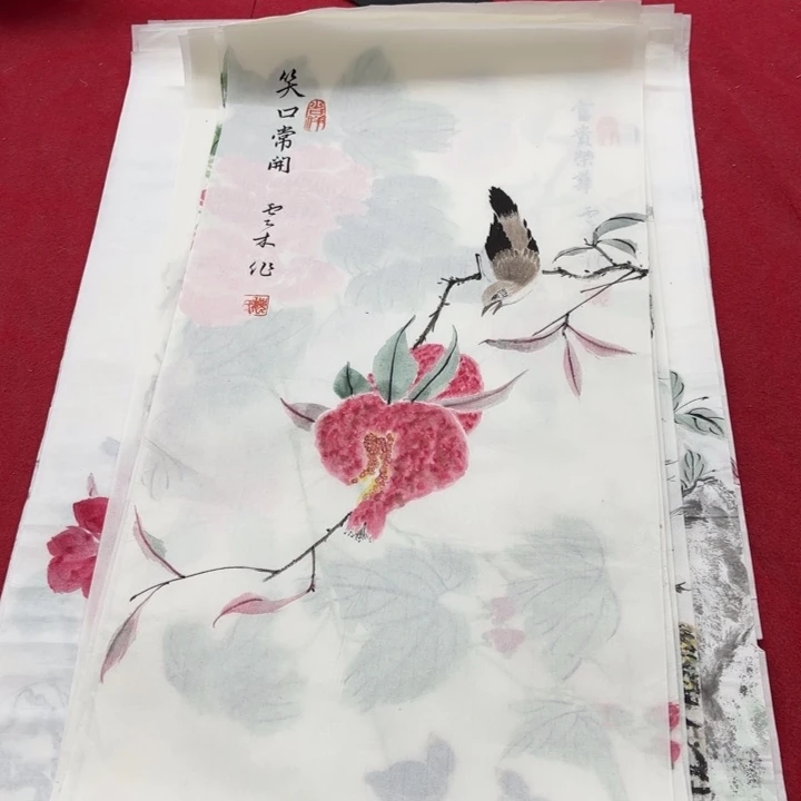 国画花鸟等多种鸟类和鸟类为