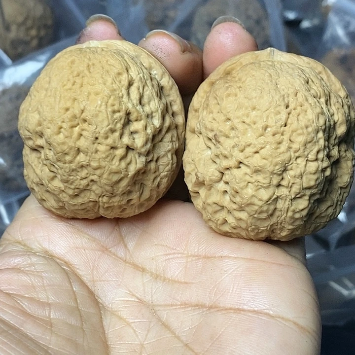 把件文玩核桃云南铁核桃92