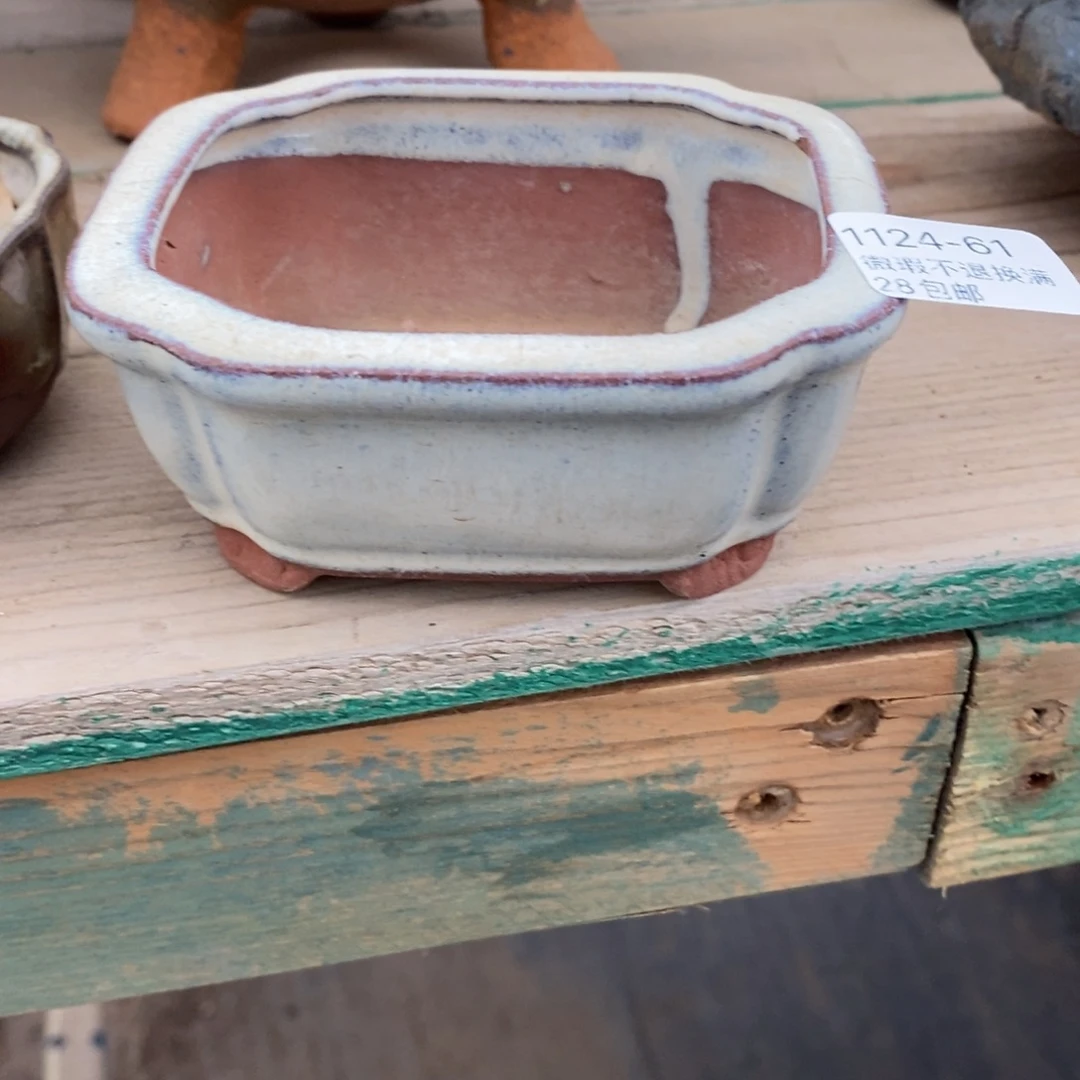 61号多肉盆口径8小可爱