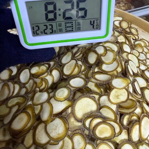 长白山传统滋补养生梅花鹿半腊片鹿茸片