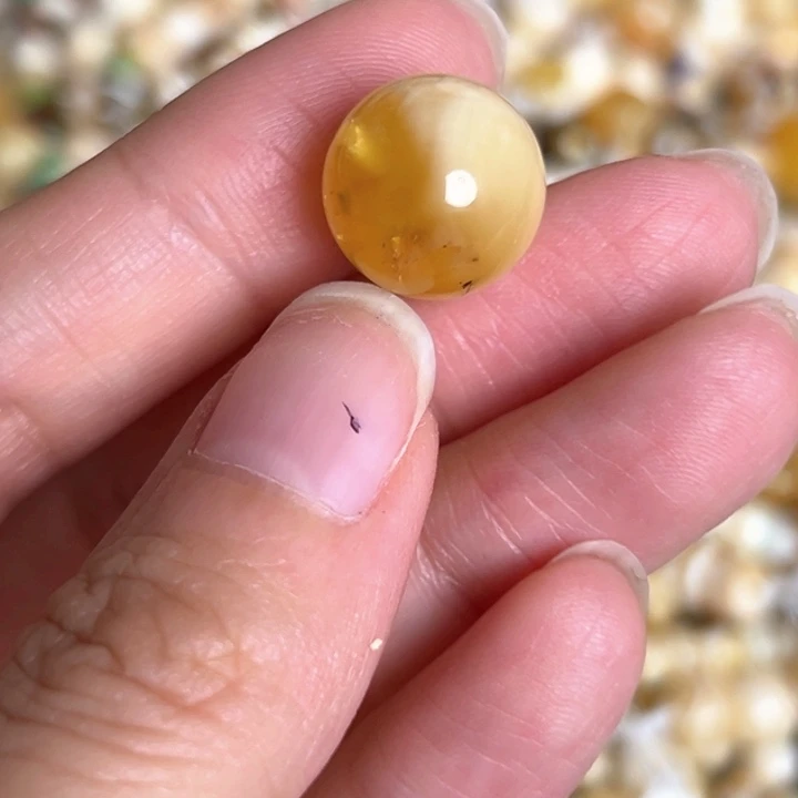 未镶嵌蜜蜡裸石13.6mm一个