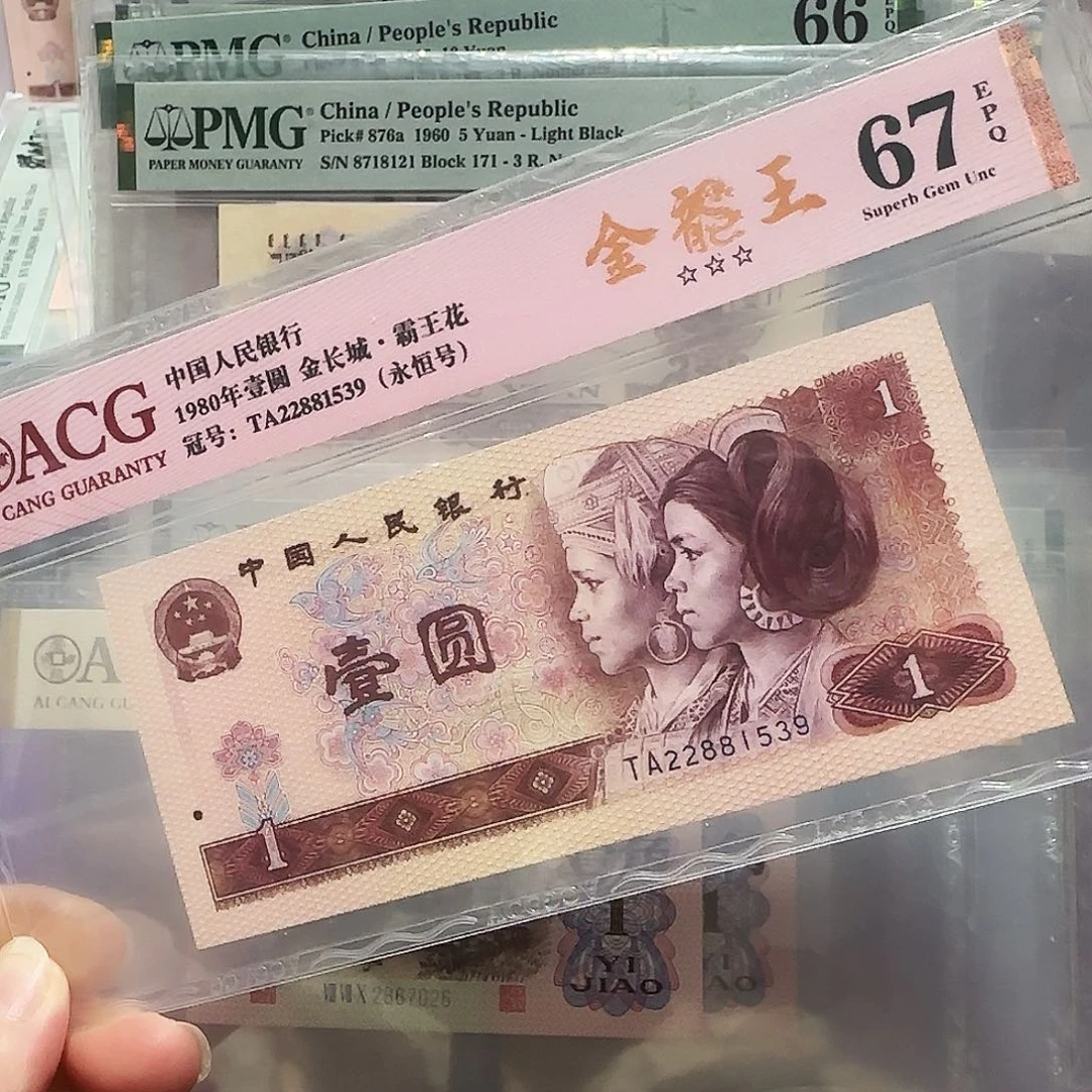 纸22881539。。。。金龙王