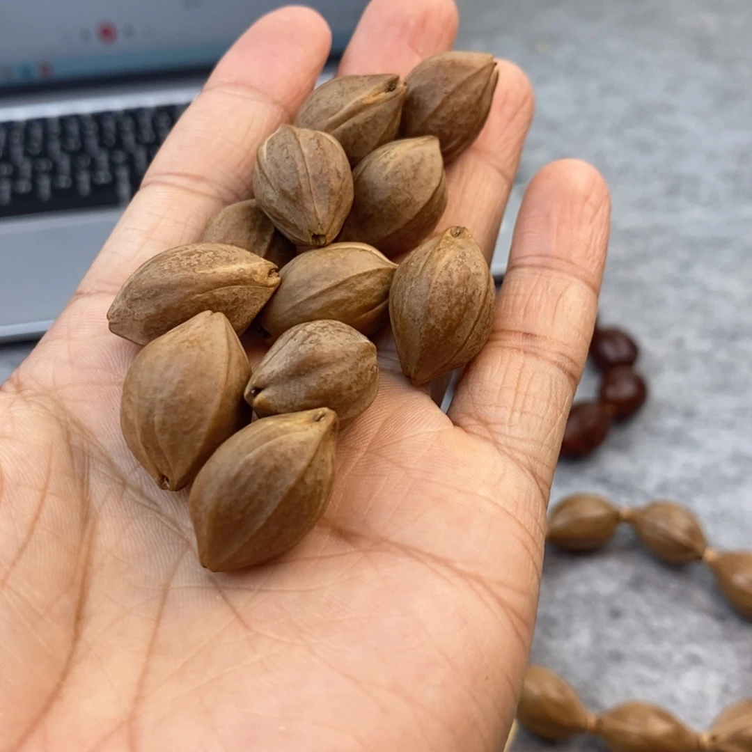 橄榄核手串/手链向*走15小尺寸10颗一物一图