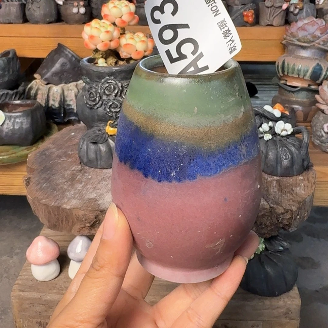 重庆小燕子欢迎大家593