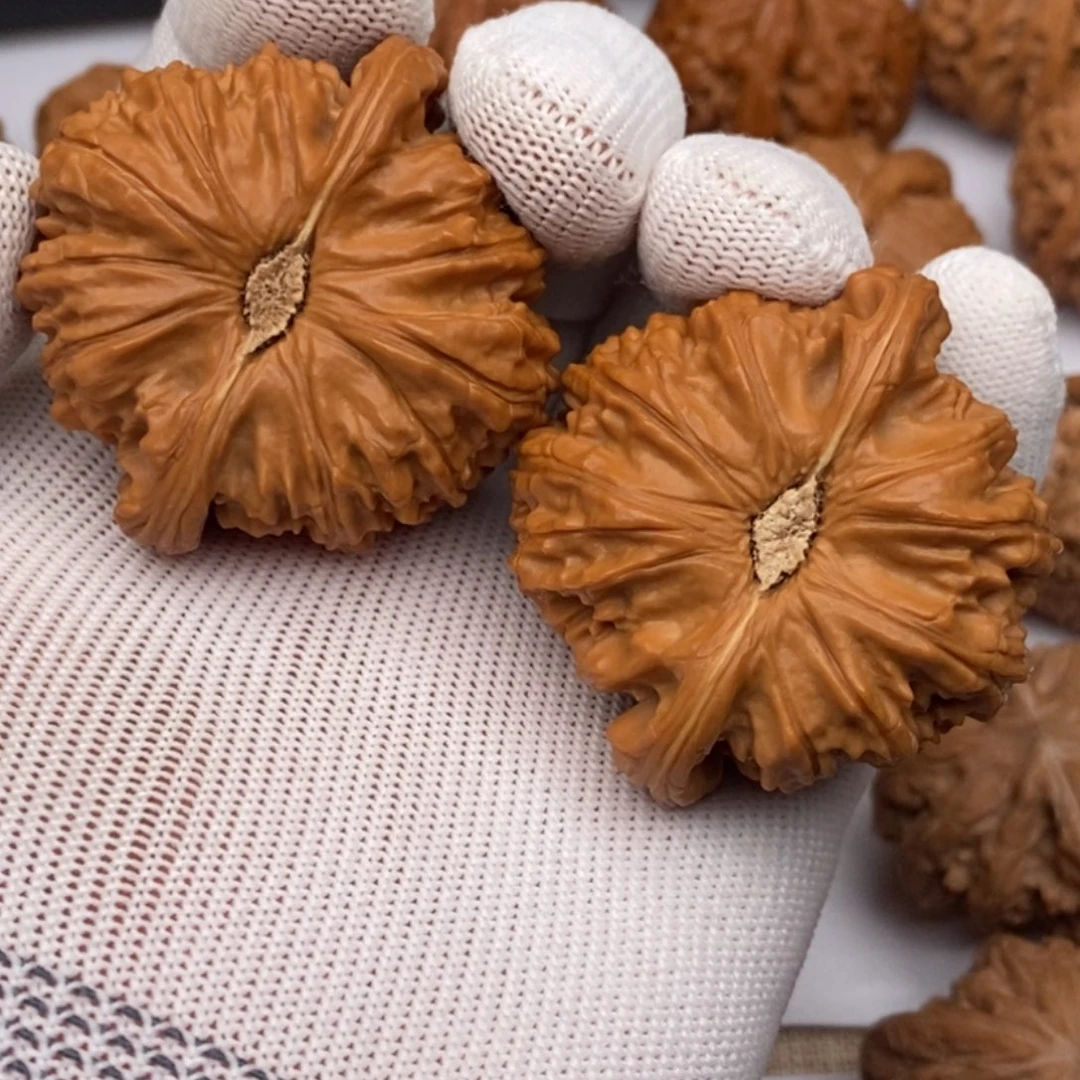 把件文玩核桃49白狮子