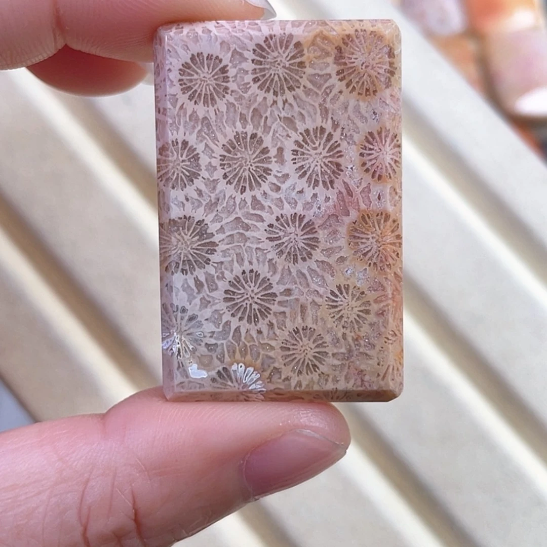 【闪购商品】硅化玉吊坠(赠链)未镶嵌