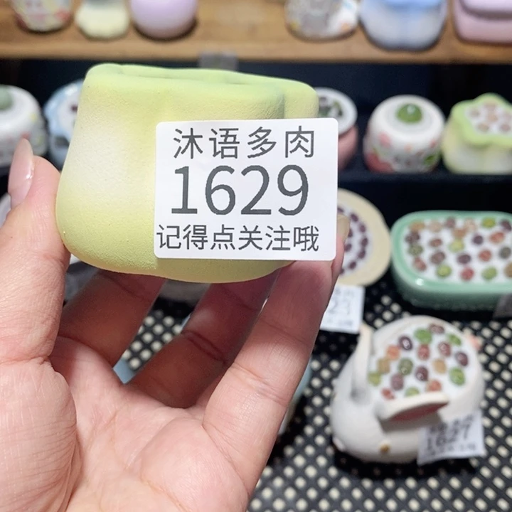 月***色带盆土植物 一物一拍 1629