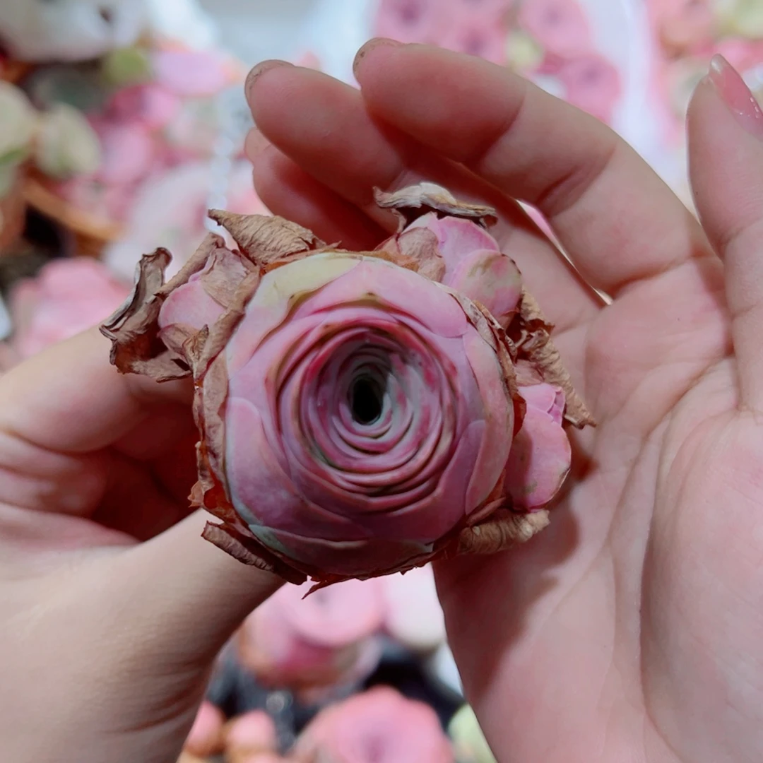 378水蜜桃群。